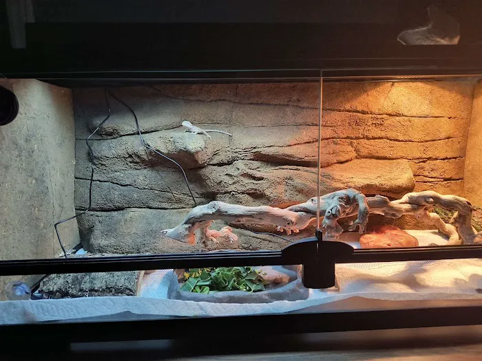 Exotic Envy Reptiles Picture 6