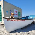 Elizabeth Veterinary Clinic Inc.