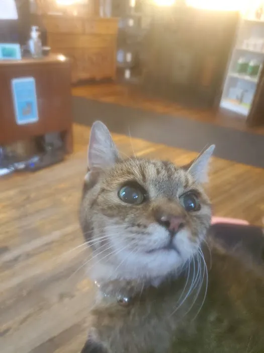 Elizabeth Veterinary Clinic Inc. Picture 6
