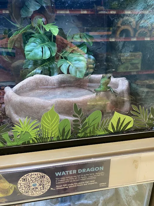 Petco Picture 7