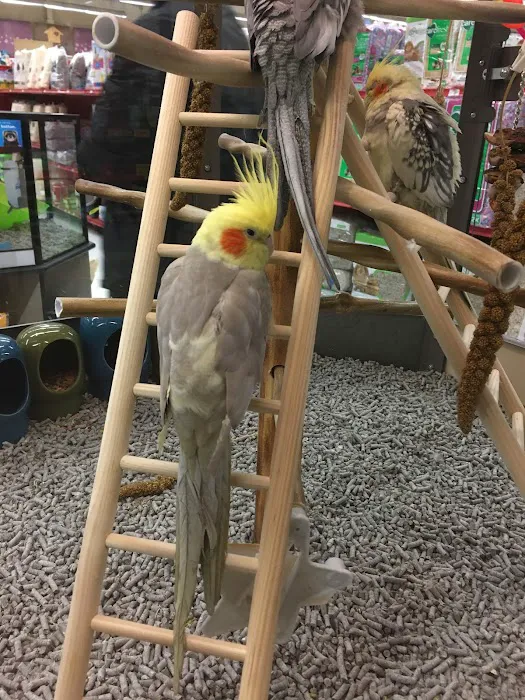 Petco Picture 10