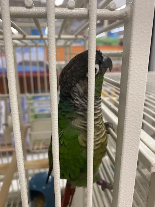Petco Picture 9