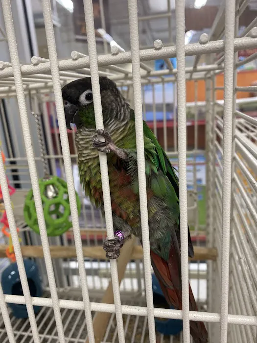 Petco Picture 2