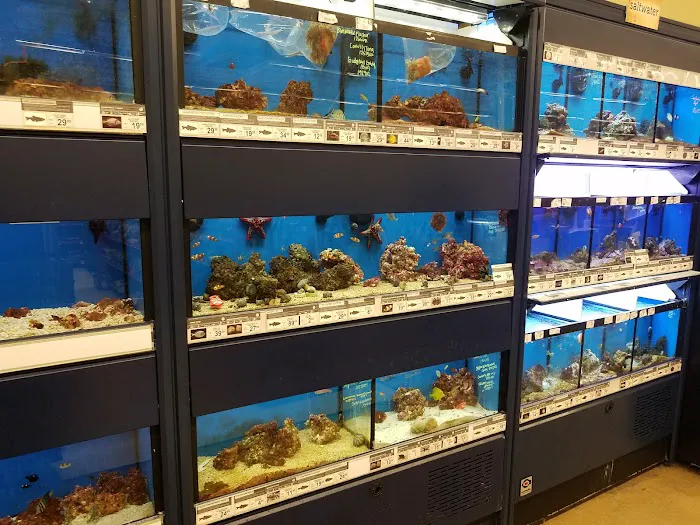 Petco Picture 6
