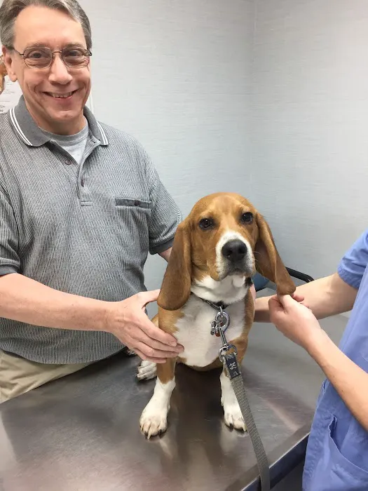 Park Veterinary Group Picture 5