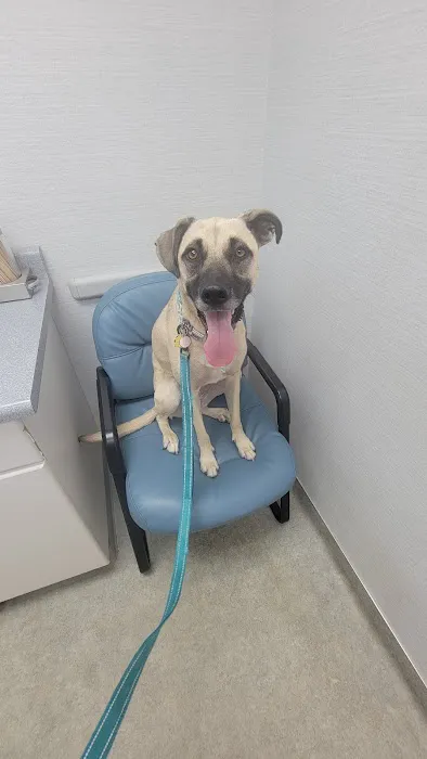 Park Veterinary Group Picture 9