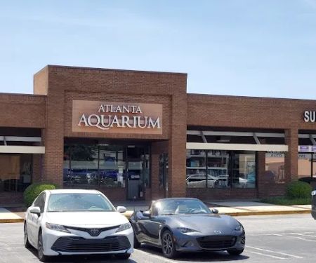 Atlanta Aquarium