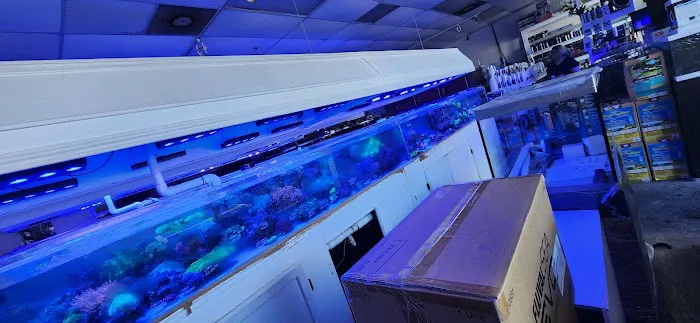 Atlanta Aquarium Picture 8