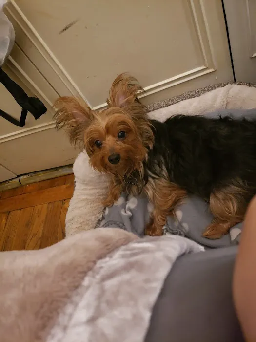 Roselle Park Animal Hospital Picture 5