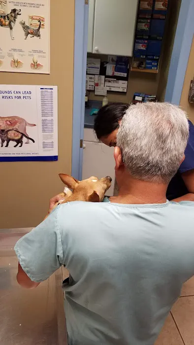 Roselle Park Animal Hospital Picture 4