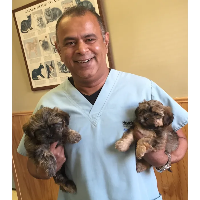 Roselle Park Animal Hospital Picture 9