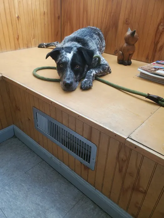 Roselle Park Animal Hospital Picture 2