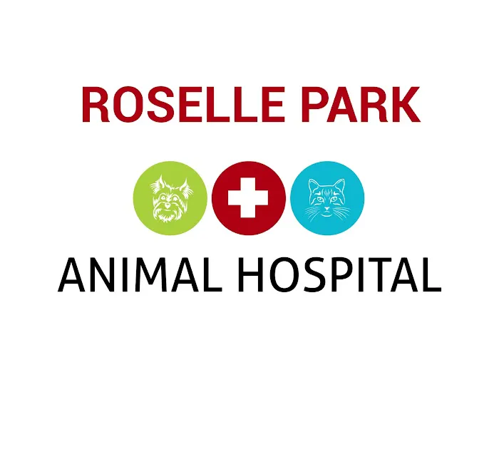 Roselle Park Animal Hospital Picture 8