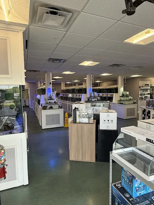 Southern Aquatics Local Fish Store Picture 9