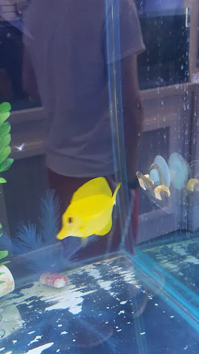 Southern Aquatics Local Fish Store Picture 1