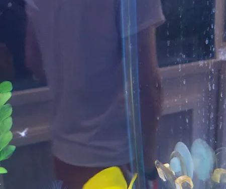 Southern Aquatics Local Fish Store