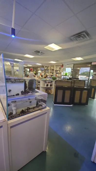 Southern Aquatics Local Fish Store Picture 2