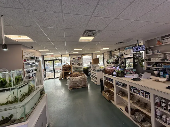 Southern Aquatics Local Fish Store Picture 8