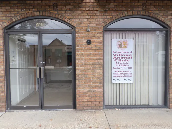 Village Animal Clinic, LLC Picture 7