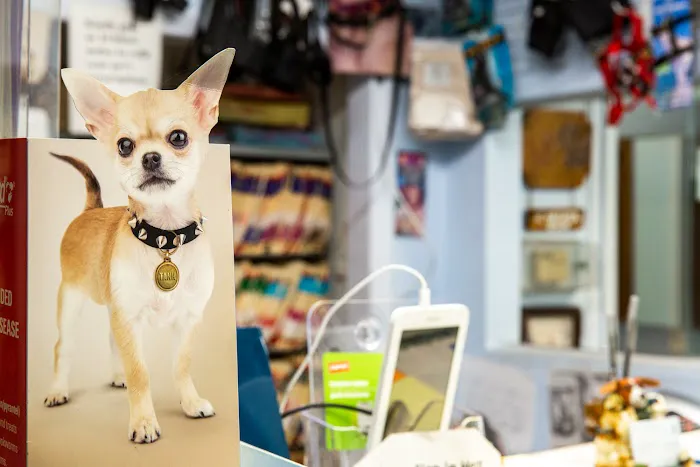 TLC Pet Doctor Picture 5