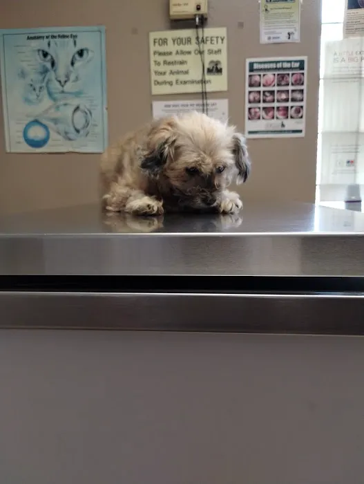 TLC Pet Doctor Picture 3