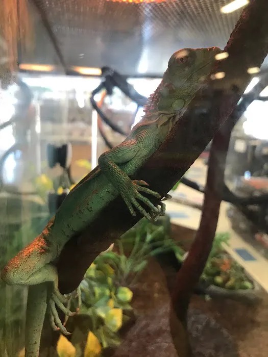 Petco Picture 5