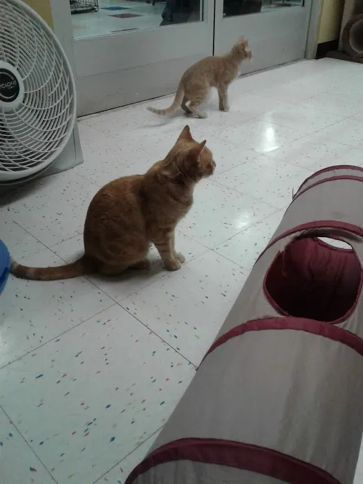 Petco Picture 9