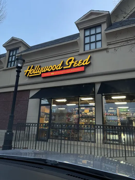 Hollywood Feed Picture 9
