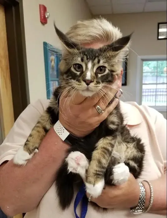 Prospect Ridge Veterinary Picture 4
