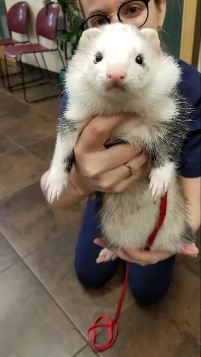 Prospect Ridge Veterinary Picture 7