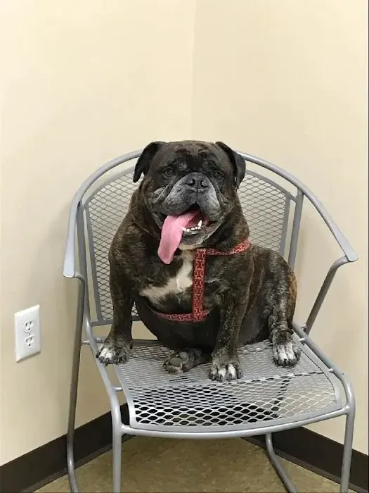 Prospect Ridge Veterinary Picture 10