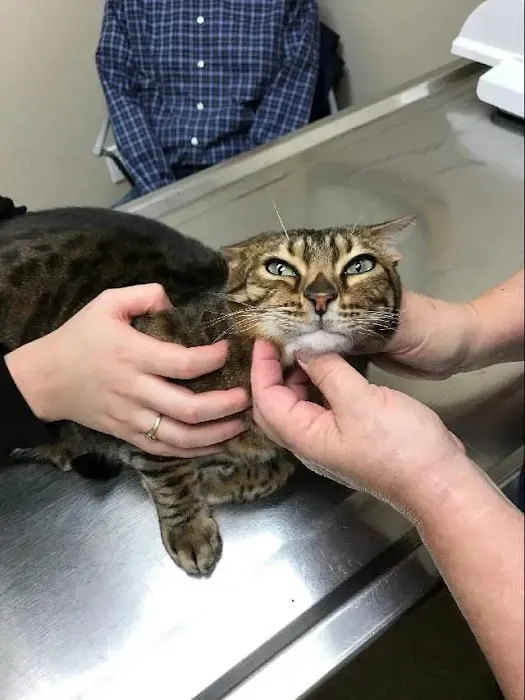 Prospect Ridge Veterinary Picture 9