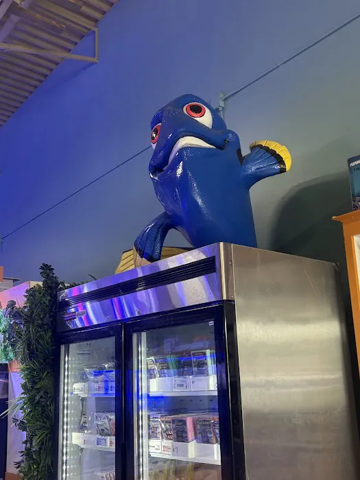 Nemo Aquarium Picture 1