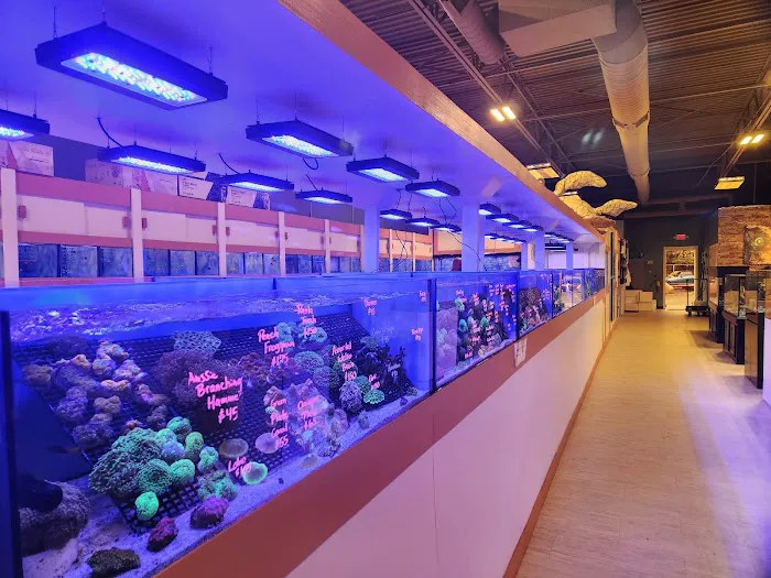 Nemo Aquarium Picture 3
