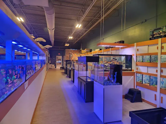 Nemo Aquarium Picture 10