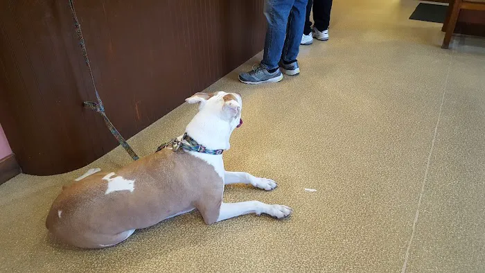 Barnegat Animal Clinic Picture 2
