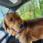 Barnegat Animal Clinic
