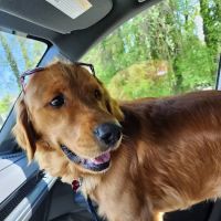 Barnegat Animal Clinic ico