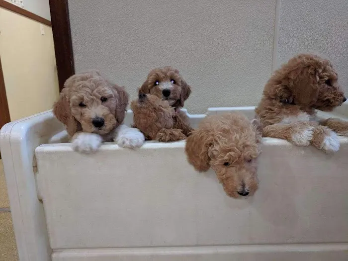 Barnegat Animal Clinic Picture 3