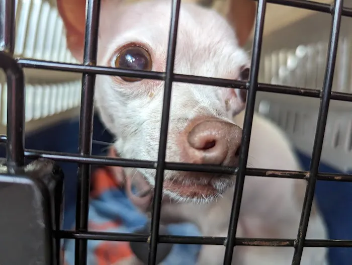 Barnegat Animal Clinic Picture 6