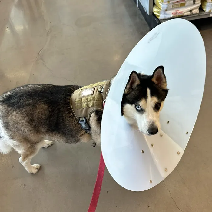 Paw Pets Store Picture 3