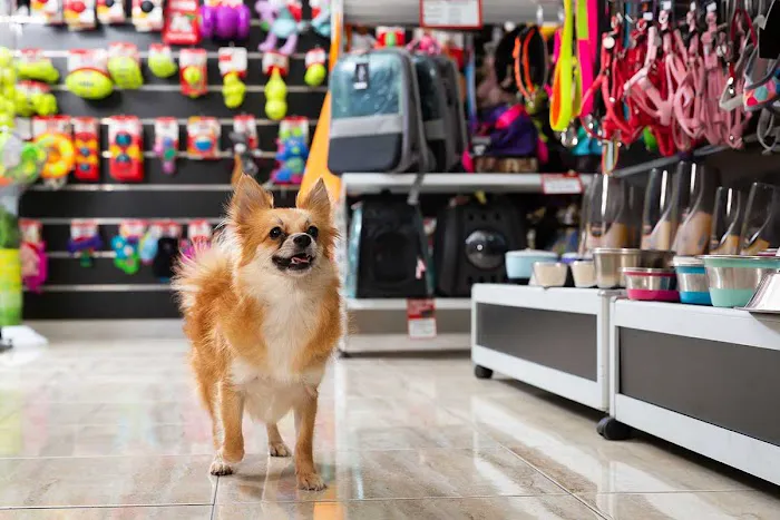 Paw Pets Store Picture 4
