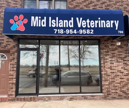 Mid Island Veterinary Practice