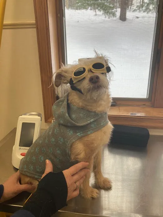 Smithfield Animal Hospital Picture 3