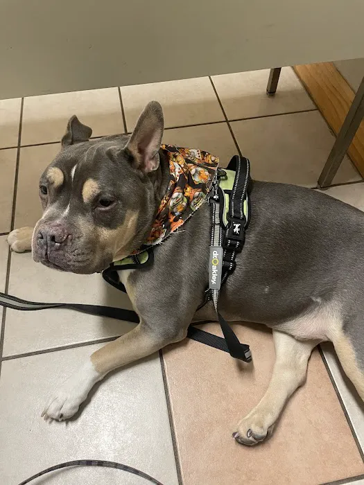 Smithfield Animal Hospital Picture 8
