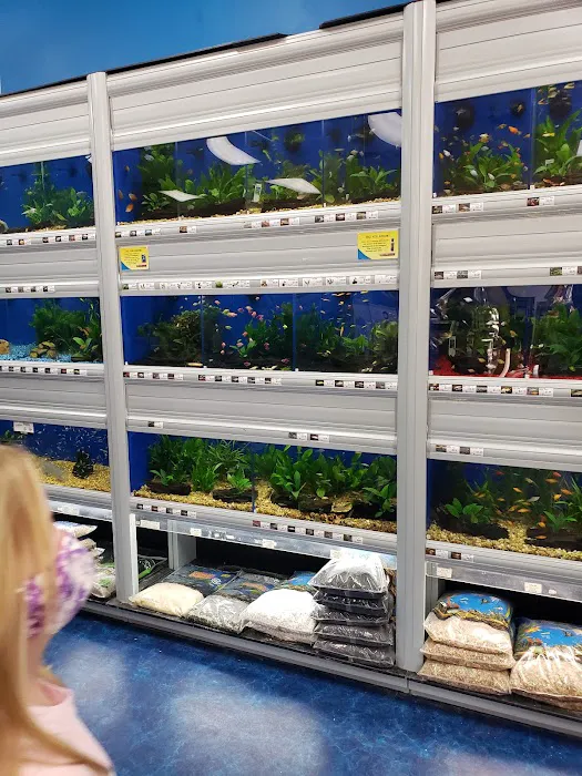 Pet Supermarket Picture 1