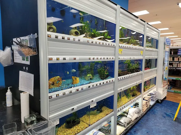 Pet Supermarket Picture 6