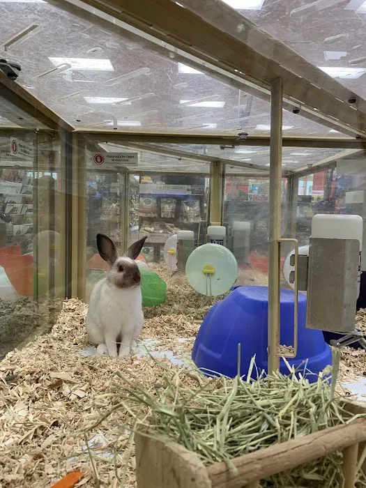 Pet Supermarket Picture 8