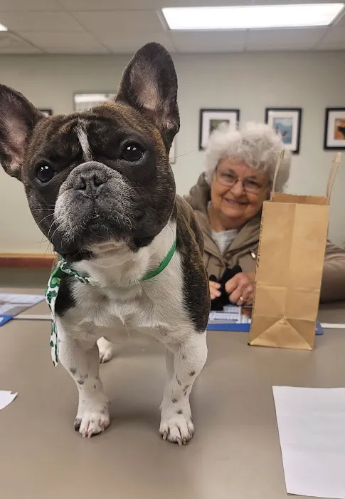 Boulevard Veterinary Care Picture 2