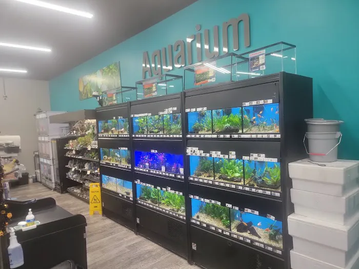 Pet Supermarket Picture 2